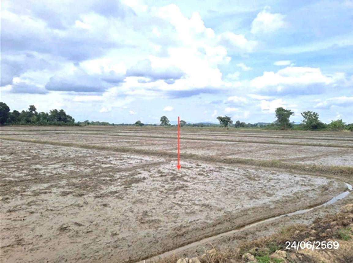 picture LAND 5450 Sq.w. Mae Chan Chiang Rai for 2.6M - 14/19