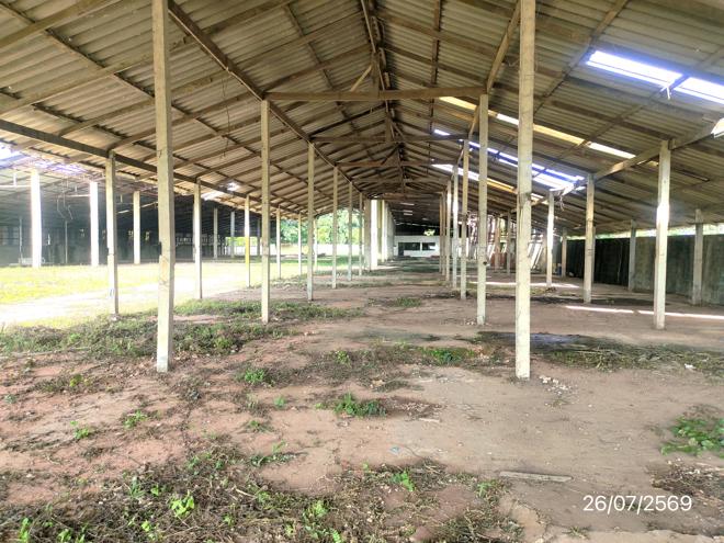picture FACTORY 1579 Sq.w. Wiang Pa Pao Chiang Rai for 4M - 13/35