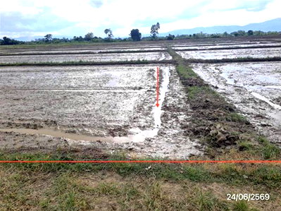 Land for sale Chiang Rai : LAND 5450 Sq.w. Mae Chan Chiang Rai for 2.6M