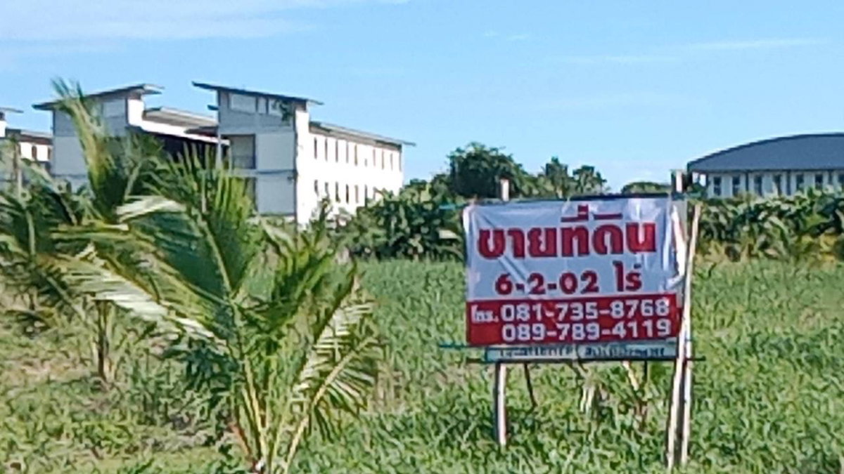 รูป ขายที่ดิน 6-02-02 ไร่ ถนนเอกชัย-เศรษฐกิจ - รูปที่ 3/5