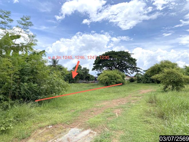picture FACTORY 2059 Sq.w. Na Klang Nong Bua Lam Phu for 10.8M - 18/41