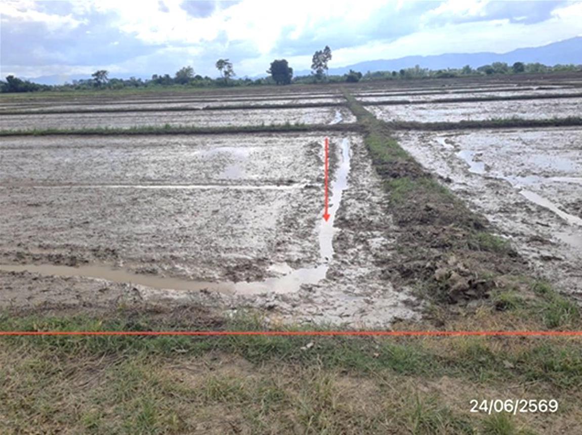 picture LAND 5450 Sq.w. Mae Chan Chiang Rai for 2.6M - 9/19