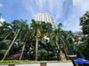 listing thumbnail image 50