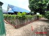 listing thumbnail image 20