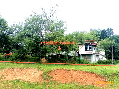 Houses for sale Muang Trang Trang : HOME 888.4 Sq.w. Muang Trang Trang for 4.7M