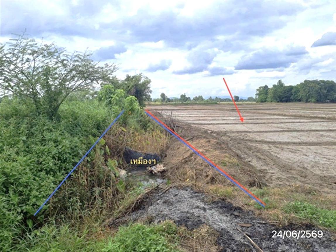 picture LAND 5450 Sq.w. Mae Chan Chiang Rai for 2.6M - 13/19