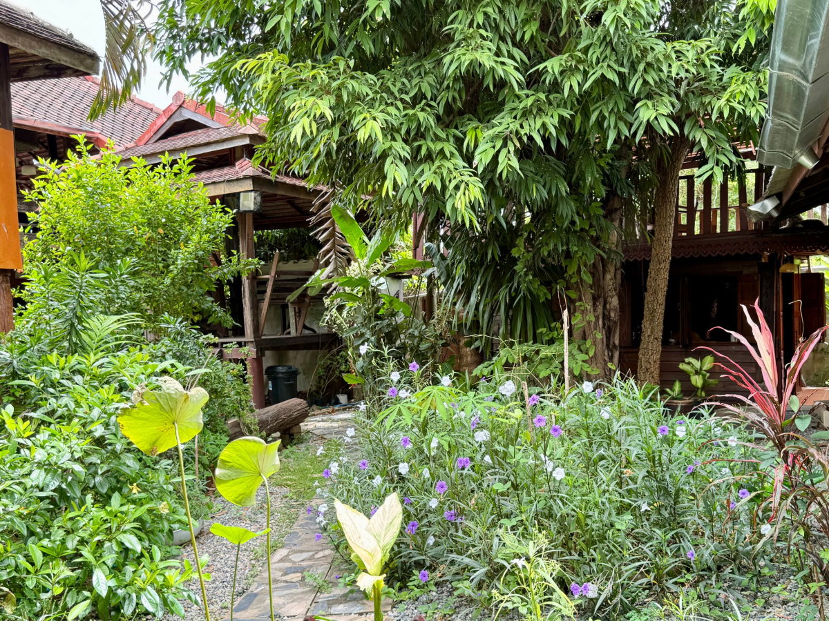รูป ขายบ้านไม้อสังหาริมทรัพย์เชิงพาณิชย์ / เพื่อการลงทุน น้ำแพร่ หางดง เชียงใหม่ - รูปที่ 9/35