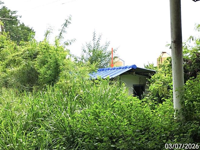 รูป อาคารโรงงาน 7400 ตร.วา พนมสารคาม ฉะเชิงเทรา 19.5M - รูปที่ 25/61