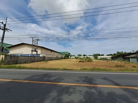 Vacant land for sale in Nong Sam Sak, Chonburi. Suitable for investment and development.
