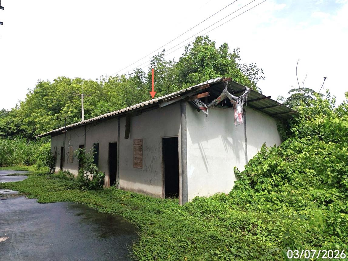 รูป อาคารโรงงาน 7400 ตร.วา พนมสารคาม ฉะเชิงเทรา 19.5M - รูปที่ 36/61