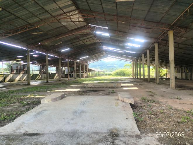 picture FACTORY 1579 Sq.w. Wiang Pa Pao Chiang Rai for 4M - 4/35
