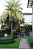 listing thumbnail image 13