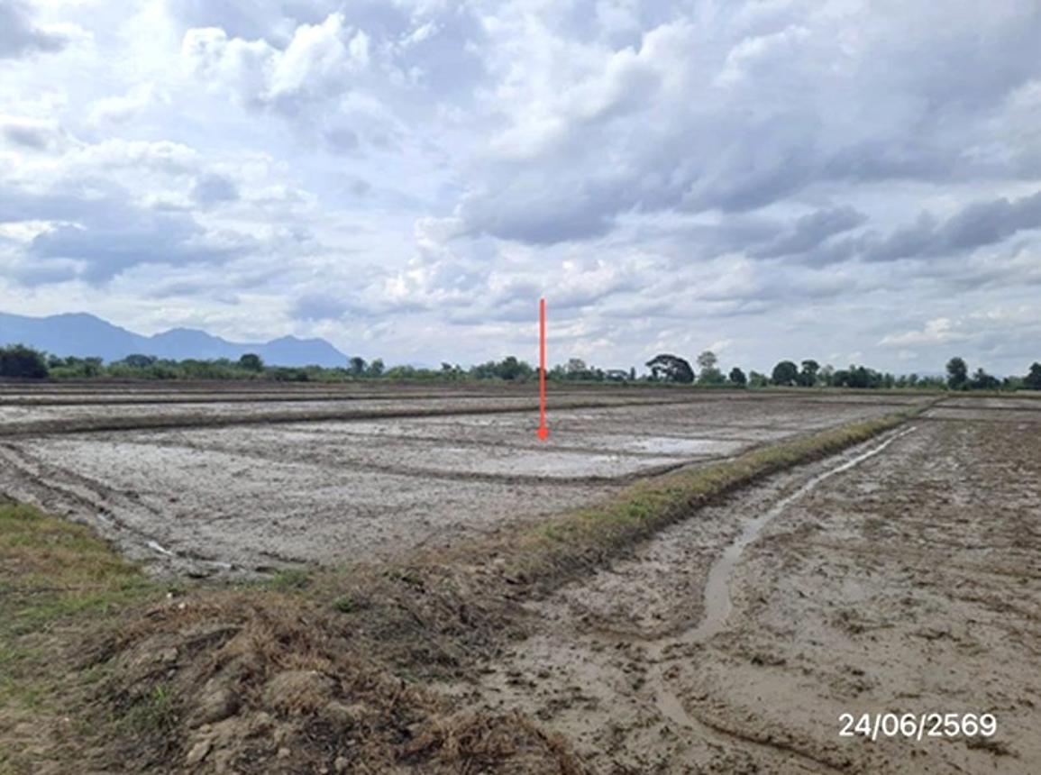 picture LAND 5450 Sq.w. Mae Chan Chiang Rai for 2.6M - 15/19