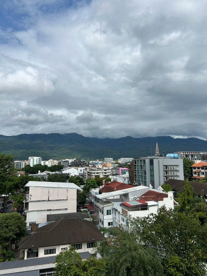 รูป ให้เช่า คอนโด Palm Springs Nimman Areca, วิวดอย ราคาเพียง 15000/ด โทร. 098-9690236 แจน - รูปที่ 4/11