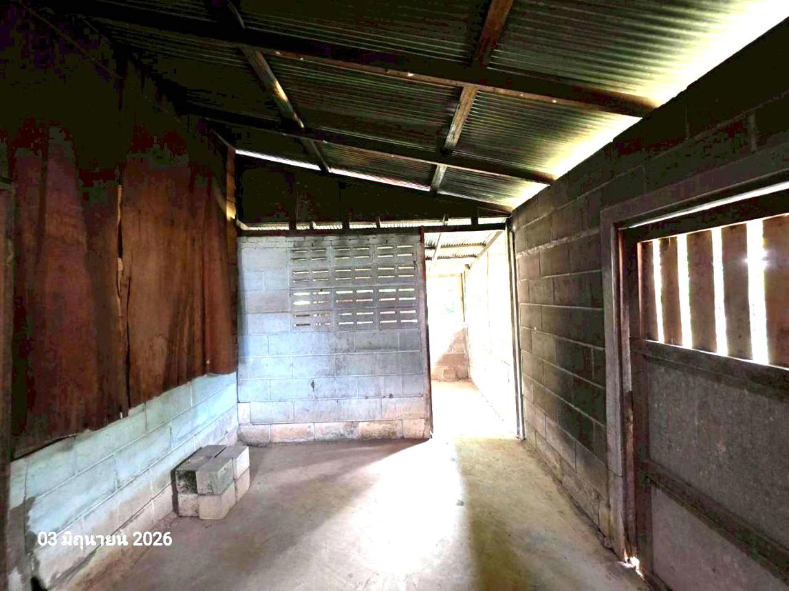 picture HOME 168.6 Sq.w. Fang Chiang Mai for 925,000 - 24/29