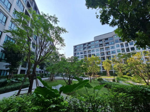 รูป ให้เช่า ดีคอนโด ไฮด์อเวย์ รังสิต ใกล้ ม.ธรรมศาสตร์ ถนนเชียงราก 1ห้องนอน พร้อมอยู่ - รูปที่ 14/23