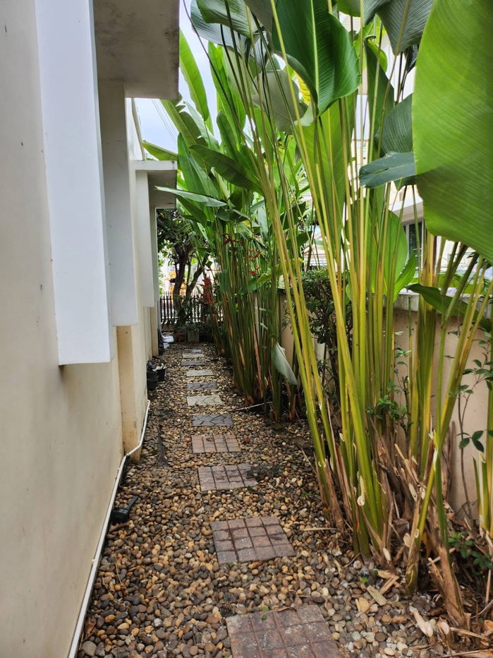 รูป 🏡 ให้เช่าบ้านเดี่ยว 2 ชั้น เดินทางสะดวก ในหมู่บ้านใกล้ถนนวงแหวนรอบ 2 พร้อมเฟอร์นิเจอร์ครบชุด ทำเลดีมาก ใกล้รวมโชค โลตัส บิ๊กซี 7-11 และอื่นๆอีกมากมาย - รูปที่ 16/16
