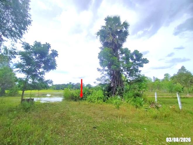 picture HOME 3177 Sq.w. Muang Udon Thani Udon Thani for 3.1M - 8/25