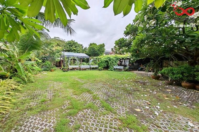 Land for sale, 99 sq wah, Wang Thonglang