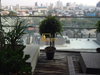 listing thumbnail image 20