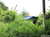 listing thumbnail image 52