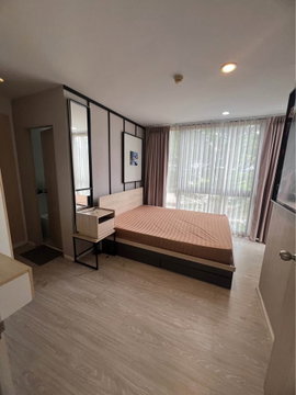 For Rent Palm Spring Areca Condo Chiang Mai 