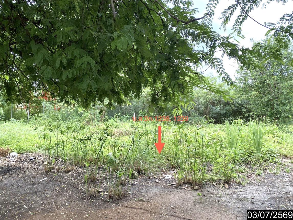 picture FACTORY 2059 Sq.w. Na Klang Nong Bua Lam Phu for 10.8M - 25/41