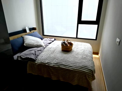Condos for rent : Condo for Rent at Skyrise Avenue Sukhumvit 64 (F6909024)