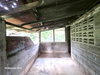 listing thumbnail image 24