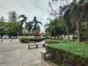 listing thumbnail image 27