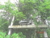 listing thumbnail image 37