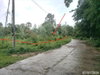 listing thumbnail image 16