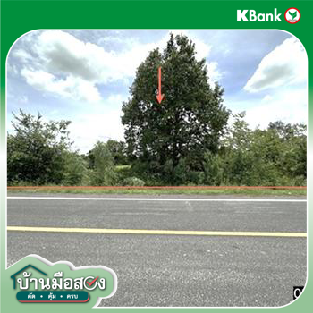 picture LAND 4242 Sq.w. Yang Si Surat Maha Sarakham for 2.8M - 15/17