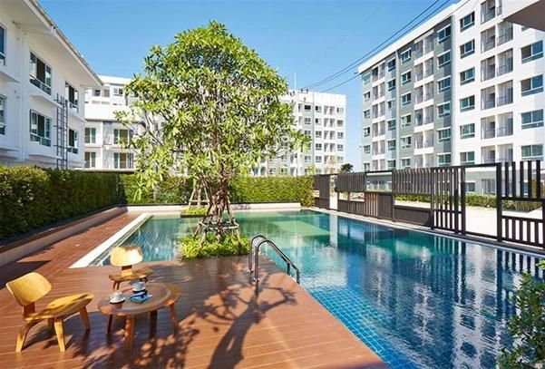 picture For Rent Condo The Kith Lite Bangkadi-Tiwanon 6,500 - 13/16