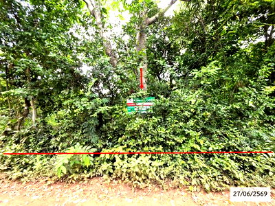 LAND 200 Sq.w. Phang Khon Sakon Nakhon for 512,000