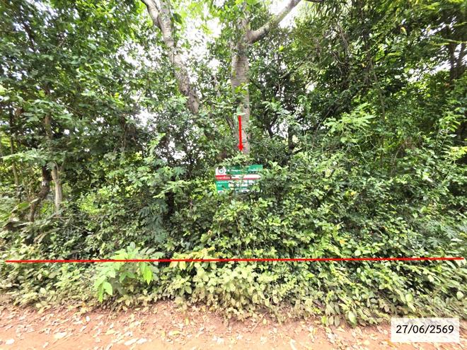 picture LAND 200 Sq.w. Phang Khon Sakon Nakhon for 512,000 - 1/25