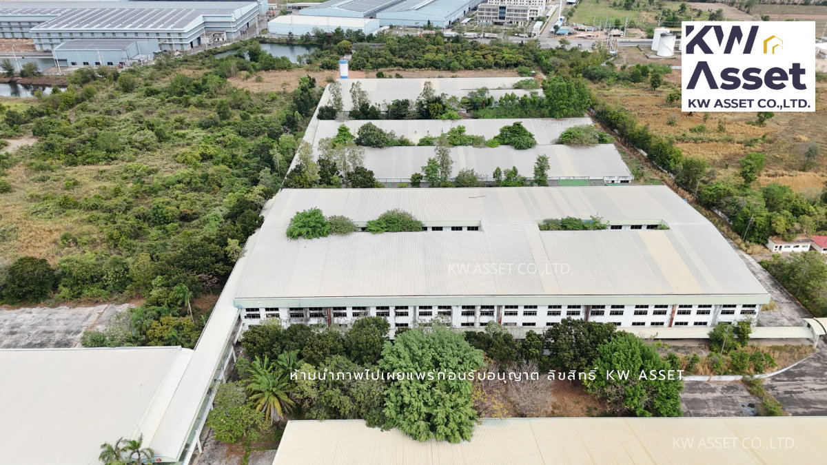 รูป ขายที่ดิน 308 ไร่ แถมฟรีโรงงาน ที่ดินผังม่วงเข้ม ติดถนน304  อ.ศรีมหาโพธิ จ.ปราจีนบุรี ที่ดินเหมาะกับอุตสาหกรรมหนัก - รูปที่ 41/46