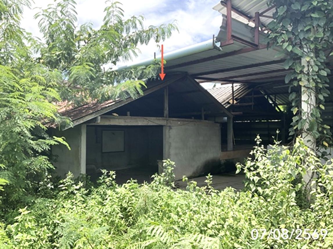 picture HOME 249 Sq.w. Wieng Kaen Chiang Rai for 1.5M - 31/45