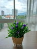listing thumbnail image 3