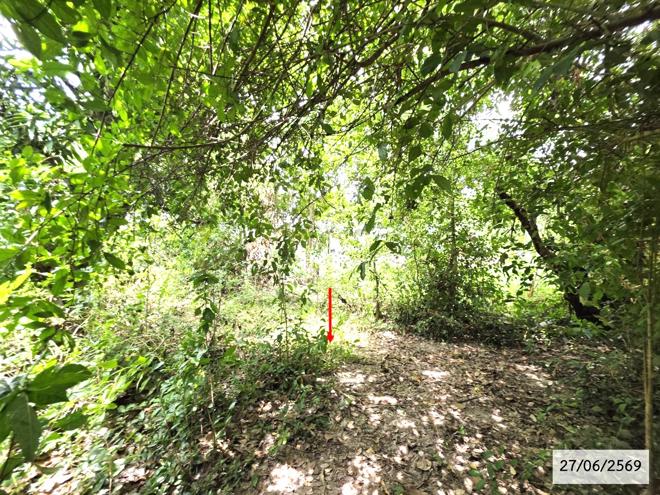 picture LAND 200 Sq.w. Phang Khon Sakon Nakhon for 512,000 - 6/25