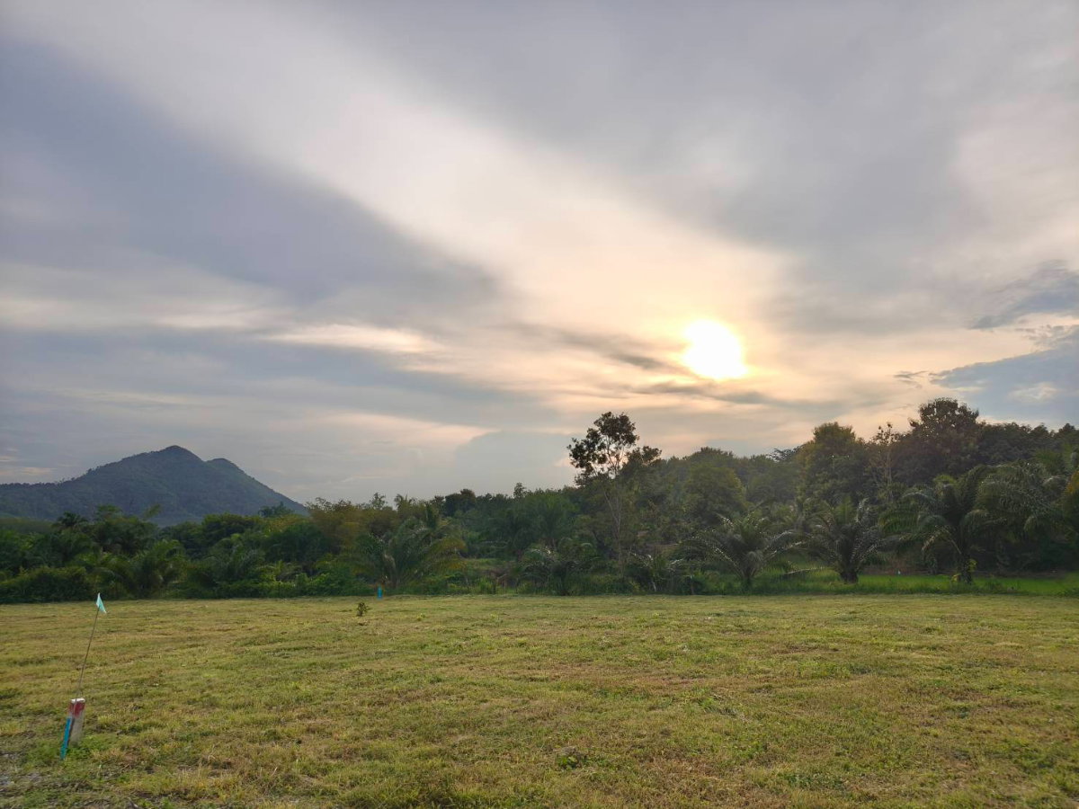 picture Land for Sale - Mountain Views,Loei City - 7/9