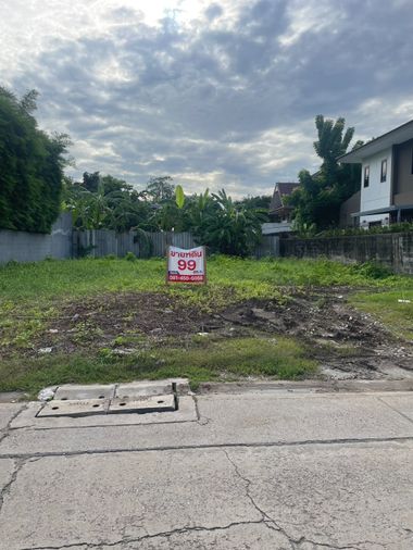 Land for sale, 99 sq wah, Lat Phrao