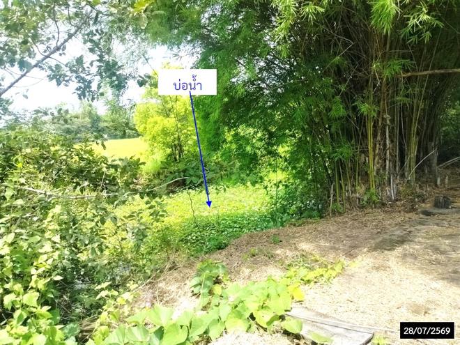 picture HOME 3969 Sq.w. Charoen Sin Sakon Nakhon for 4.1M - 10/25