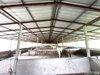 listing thumbnail image 33
