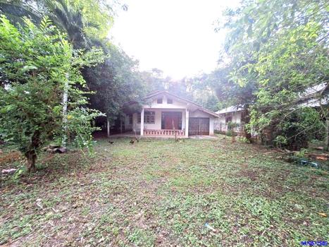 picture HOME 148 Sq.w. Muang Trang Trang for 2.1M - 22/25