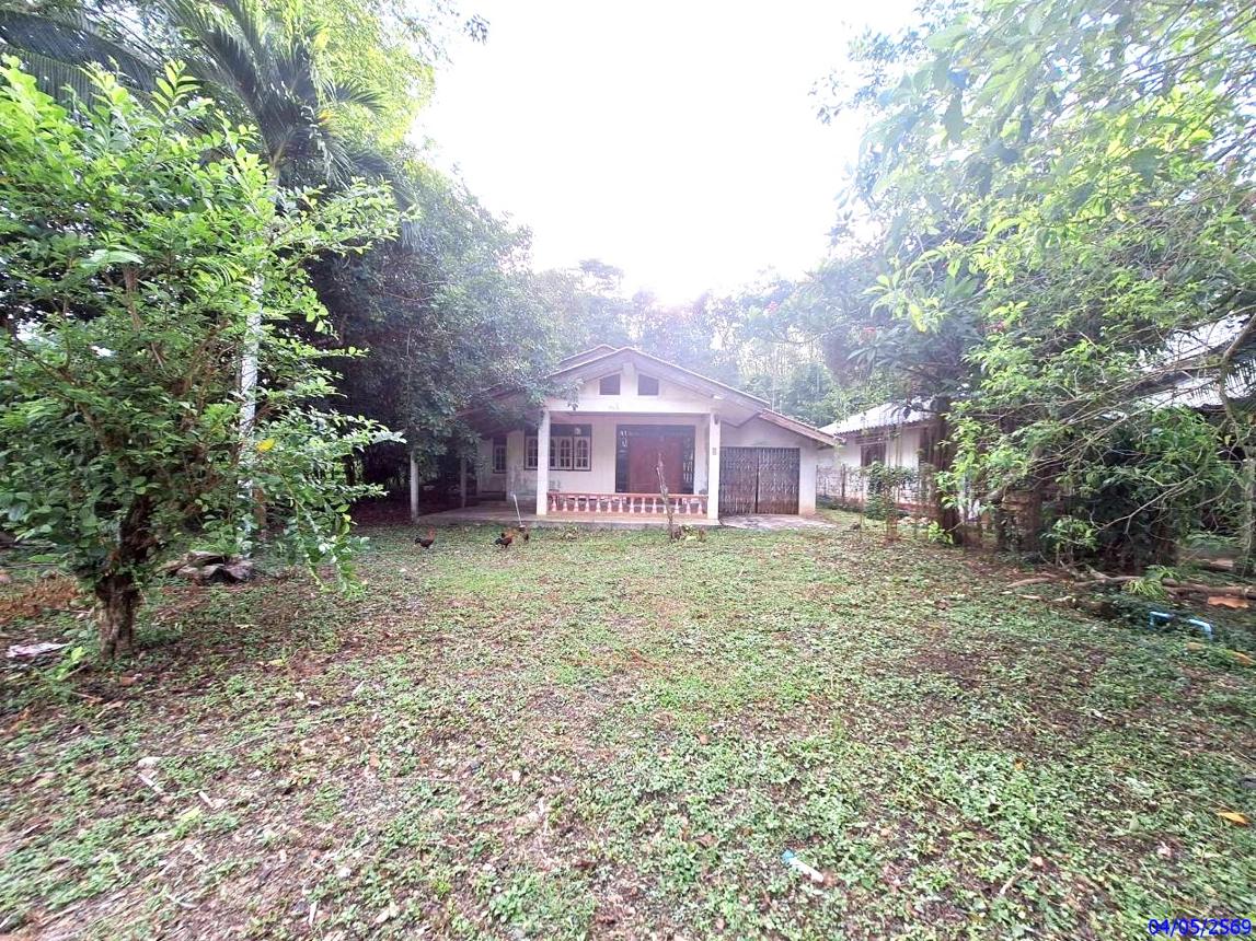 picture HOME 148 Sq.w. Muang Trang Trang for 2.1M - 12/25