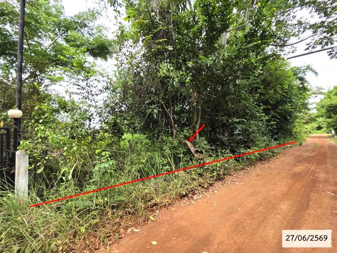 picture LAND 200 Sq.w. Phang Khon Sakon Nakhon for 512,000 - 4/25