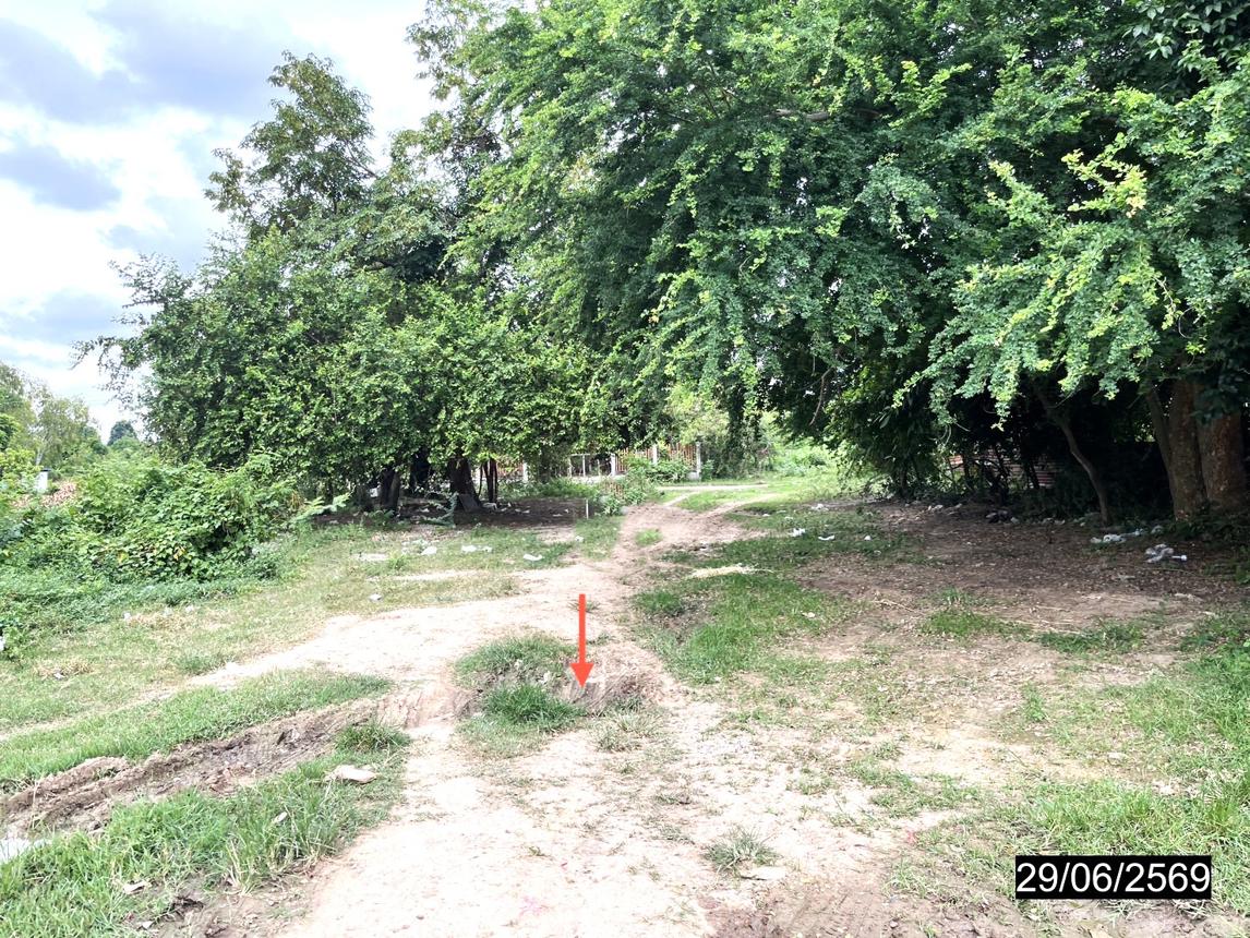 รูป ที่ดินว่างเปล่า 200 ตร.วา หนองกุงศรี กาฬสินธุ์ 1.8M - รูปที่ 15/21