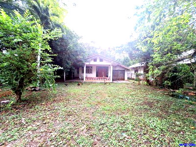 ขายบ้านเดี่ยว : บ้านเดี่ยว 148 ตร.วา เมืองตรัง ตรัง 2.1M