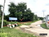 listing thumbnail image 16